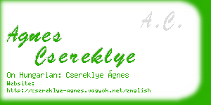agnes csereklye business card